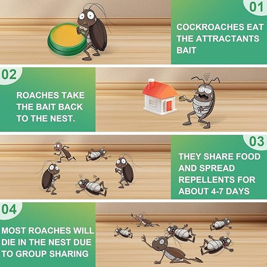 Cockroach Killer Gel – Pack of 12 | Strong Indoor Pest Control